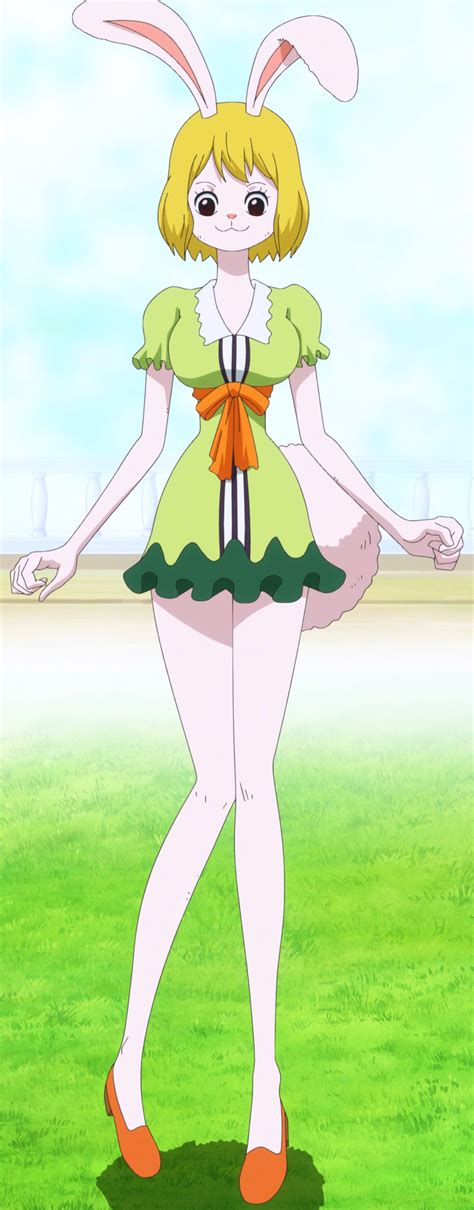 carrot one piece hentai|Character: carrot